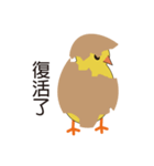 Young chicks（個別スタンプ：1）