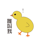 Young chicks（個別スタンプ：2）
