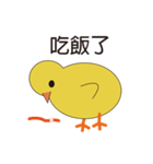 Young chicks（個別スタンプ：3）
