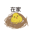 Young chicks（個別スタンプ：4）