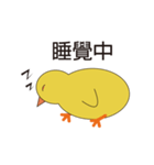 Young chicks（個別スタンプ：6）