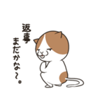 ヤキモチ焼きの猫（個別スタンプ：3）