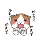 ヤキモチ焼きの猫（個別スタンプ：21）