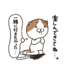 ヤキモチ焼きの猫（個別スタンプ：25）