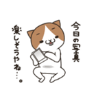 ヤキモチ焼きの猫（個別スタンプ：31）