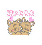 うさぎ好き限定スタンプ4（個別スタンプ：12）