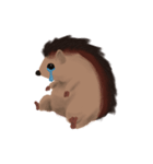 Tiny Hedgehog（個別スタンプ：2）