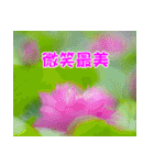 The beautiful flowers（個別スタンプ：2）