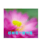 The beautiful flowers（個別スタンプ：4）