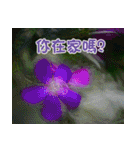 The beautiful flowers（個別スタンプ：8）