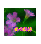 The beautiful flowers（個別スタンプ：10）