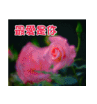 The beautiful flowers（個別スタンプ：12）