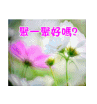 The beautiful flowers（個別スタンプ：13）