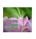 The beautiful flowers（個別スタンプ：14）