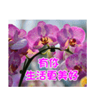 The beautiful flowers（個別スタンプ：16）