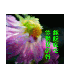 The beautiful flowers（個別スタンプ：18）