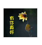 The beautiful flowers（個別スタンプ：19）