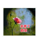 The beautiful flowers（個別スタンプ：22）
