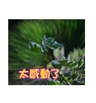 The beautiful flowers（個別スタンプ：23）