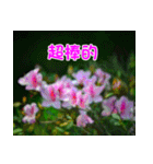 The beautiful flowers（個別スタンプ：24）