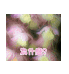 The beautiful flowers（個別スタンプ：25）