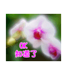 The beautiful flowers（個別スタンプ：26）