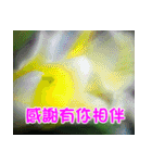 The beautiful flowers（個別スタンプ：27）