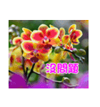 The beautiful flowers（個別スタンプ：33）