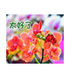 The beautiful flowers（個別スタンプ：34）