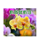 The beautiful flowers（個別スタンプ：35）