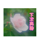 The beautiful flowers（個別スタンプ：38）