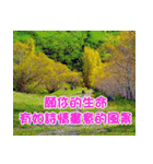 The beautiful world in bless（個別スタンプ：22）