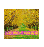 The beautiful world in bless（個別スタンプ：30）