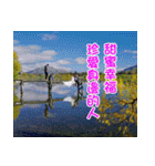 The beautiful world in bless（個別スタンプ：38）