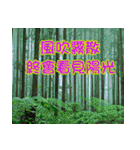 The four seasons in Taiwan has meanings.（個別スタンプ：2）