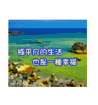 The four seasons in Taiwan has meanings.（個別スタンプ：11）