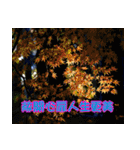 The four seasons in Taiwan has meanings.（個別スタンプ：13）