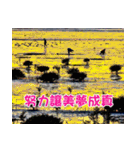 The four seasons in Taiwan has meanings.（個別スタンプ：29）