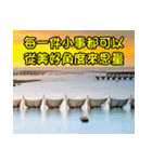 The four seasons in Taiwan has meanings.（個別スタンプ：33）