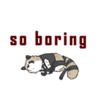 Mr. Raccoon（個別スタンプ：11）