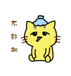 Small yellow cat part two（個別スタンプ：3）