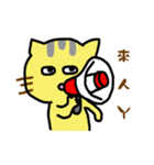 Small yellow cat part two（個別スタンプ：16）