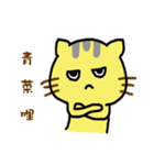 Small yellow cat part two（個別スタンプ：17）
