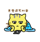 Small yellow cat part two（個別スタンプ：38）
