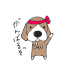 Bruce the Beagle 2（個別スタンプ：8）