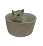 fat fat（個別スタンプ：4）