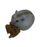 fat fat（個別スタンプ：7）