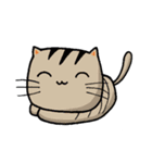 メメ-家族（個別スタンプ：22）