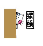 The cat-Meow（個別スタンプ：22）
