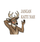The Booking Animal (Banjar)（個別スタンプ：11）
